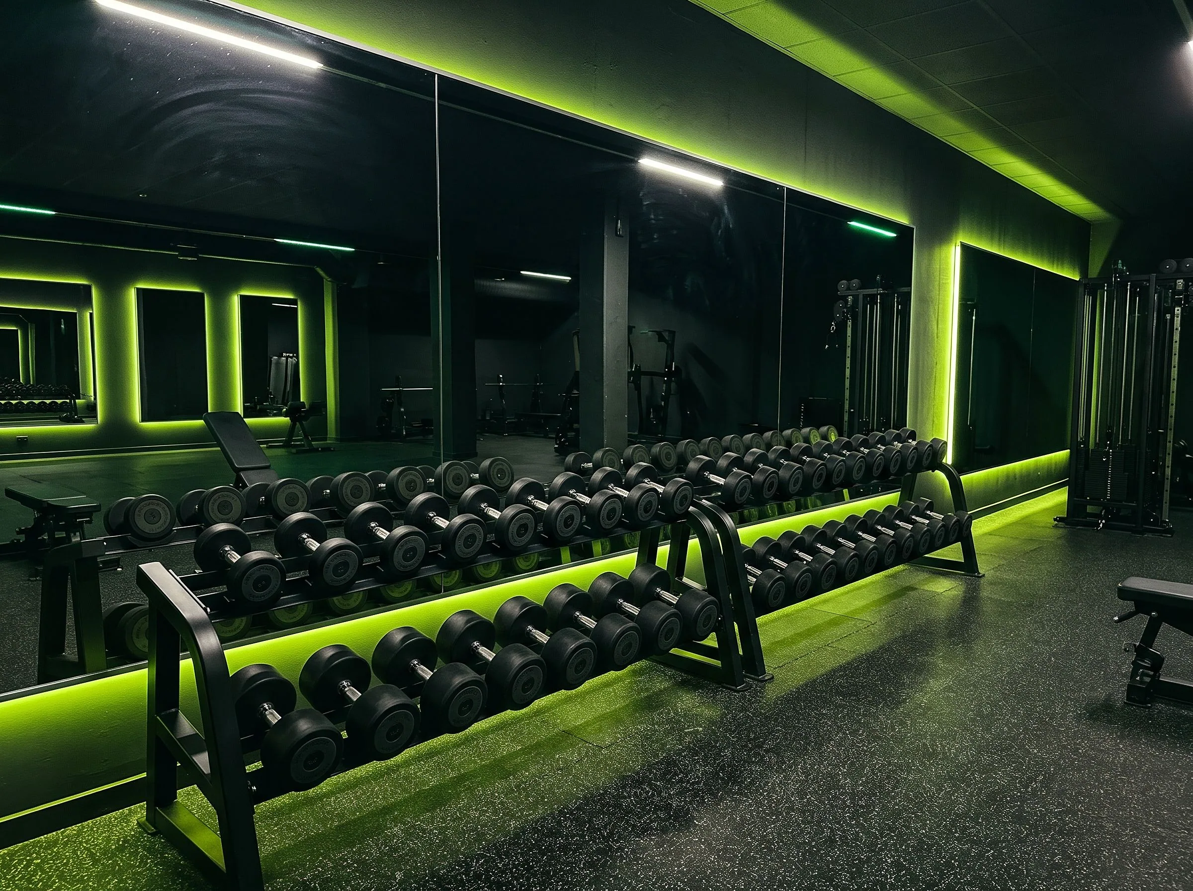 Dumbbell and free weights rack